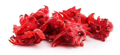 hibiscus-flower-02