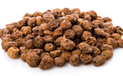 Découvrez Le Souchet Bio : Une Céréale Ancienne Sans Gluten