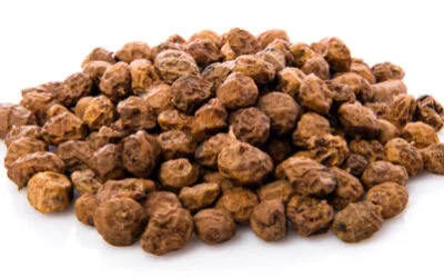 Discover Organic Tiger Nut: An Ancient Gluten-Free Grain