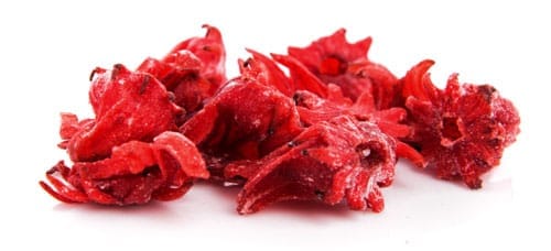 hibiscus-flower-02