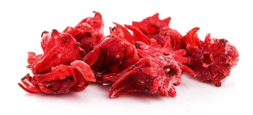 hibiscus-flower-02